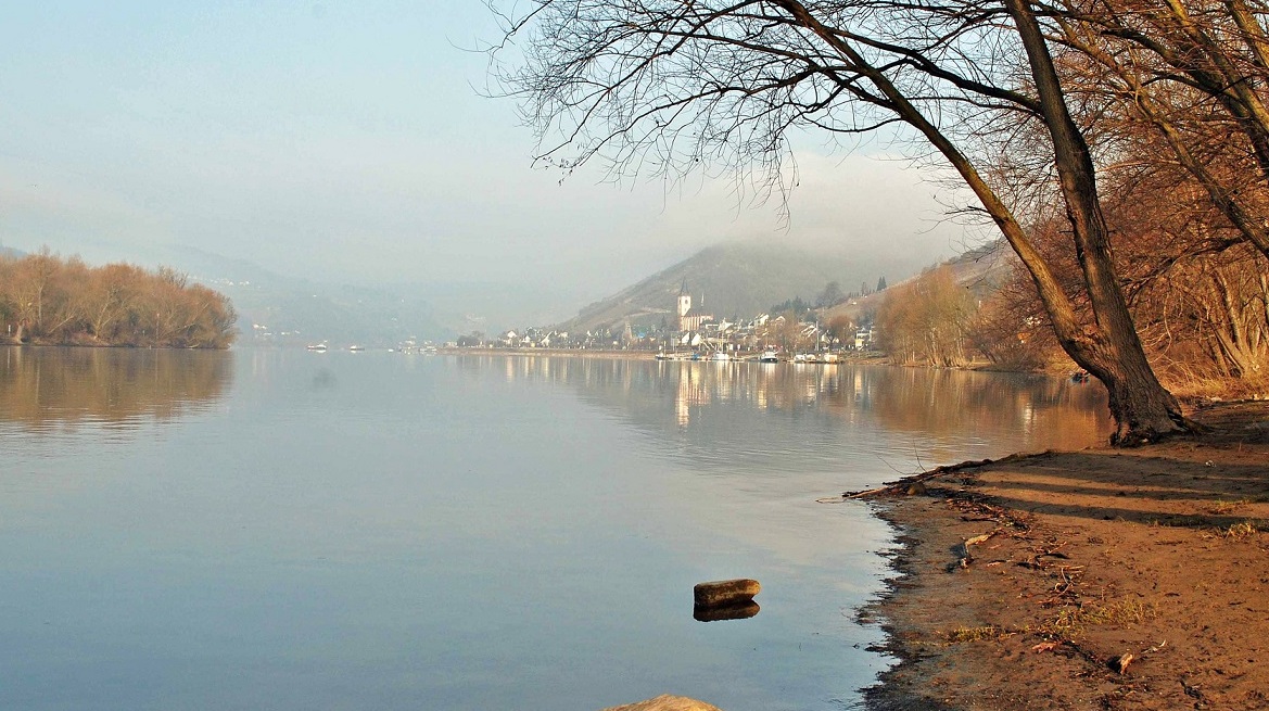 Romantisches Rheinufer auch im Winter!